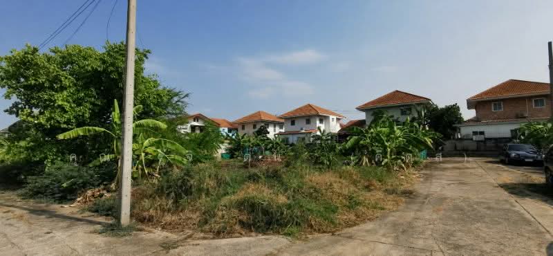 ที่ดินเปล่า 132 ตร.วา ซอยวัดลาดปลาดุก, นนทบุรี, บางคูรัด, บางบัวทอง, นนทบุรี, 528 ตร.ม., ที่ดิน ขาย, โดย คุณ รุจิวัตน์​ (คิดส์), 500314404 - DDproperty.com