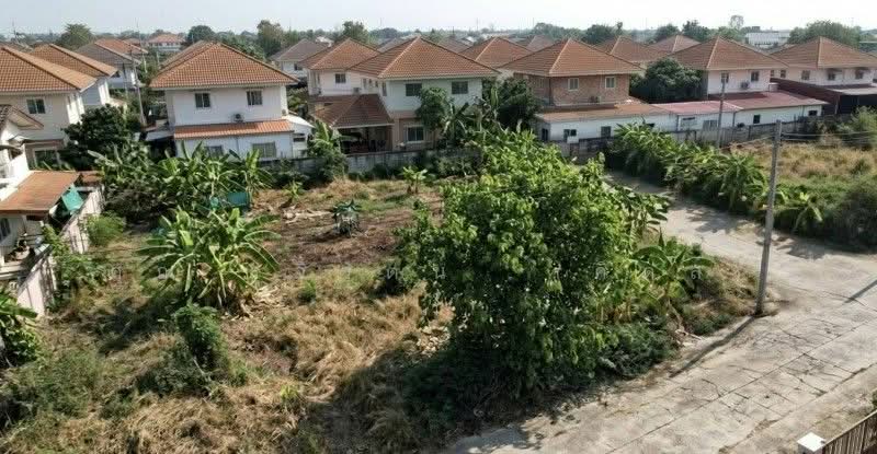ที่ดินเปล่า 132 ตร.วา ซอยวัดลาดปลาดุก, Nonthaburi, Bang Khu Rat, Bang Bua Thong, Nonthaburi, , 528 sqm, Land For Sale, by คุณ รุจิวัตน์​ (คิดส์), 500314404 - DDproperty.com