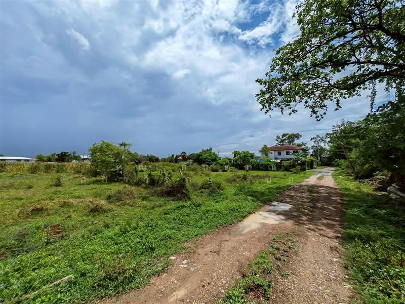 ที่ดินเปล่า 180 ตร.ว. ที่ดิน ใกล้โอรีฟคาร์ ซอยสุเหร่าใหม่ ถนนบางบัวทอง-สุพรรณบุรี, นนทบุรี, ถนนบางบัวทอง-สุพรรณบุรี, บางบัวทอง, บางบัวทอง, นนทบุรี, 720 ตร.ม., ที่ดิน ขาย, โดย คุณ กันตภณ จักกาวิรักษ์ (บอย), 500314409 - DDproperty.com