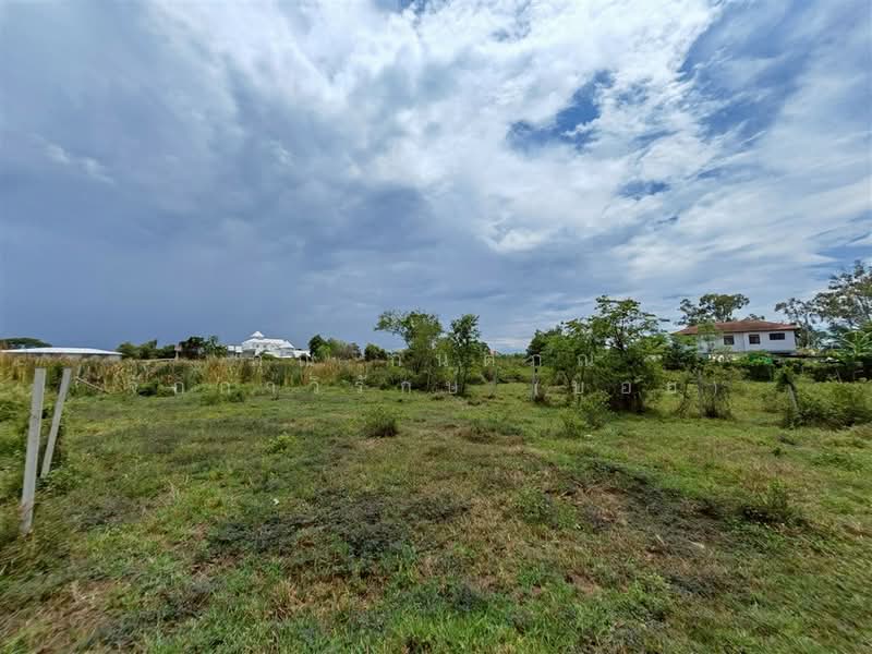 ที่ดินเปล่า 180 ตร.ว. ที่ดิน ใกล้โอรีฟคาร์ ซอยสุเหร่าใหม่ ถนนบางบัวทอง-สุพรรณบุรี, นนทบุรี, ถนนบางบัวทอง-สุพรรณบุรี, บางบัวทอง, บางบัวทอง, นนทบุรี, 720 ตร.ม., ที่ดิน ขาย, โดย คุณ กันตภณ จักกาวิรักษ์ (บอย), 500314409 - DDproperty.com