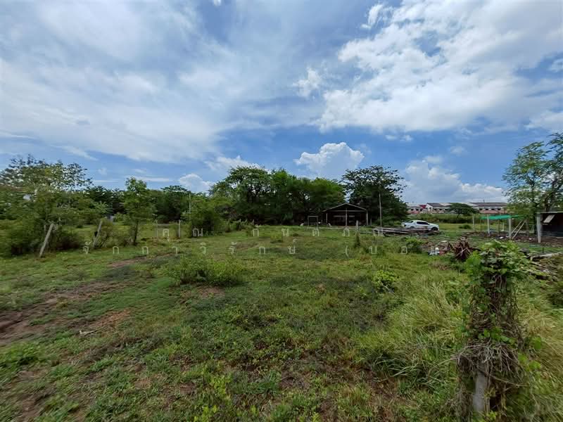 ที่ดินเปล่า 180 ตร.ว. ที่ดิน ใกล้โอรีฟคาร์ ซอยสุเหร่าใหม่ ถนนบางบัวทอง-สุพรรณบุรี, นนทบุรี, ถนนบางบัวทอง-สุพรรณบุรี, บางบัวทอง, บางบัวทอง, นนทบุรี, 720 ตร.ม., ที่ดิน ขาย, โดย คุณ กันตภณ จักกาวิรักษ์ (บอย), 500314409 - DDproperty.com