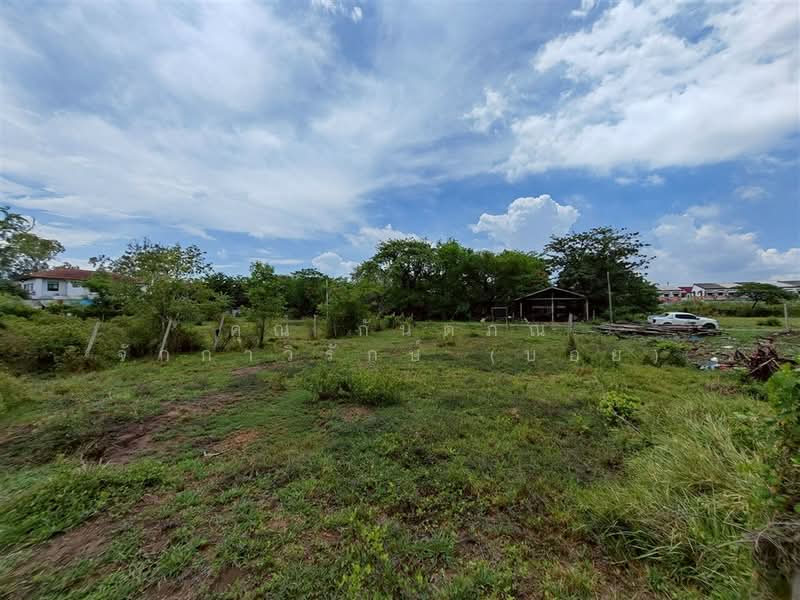ที่ดินเปล่า 180 ตร.ว. ที่ดิน ใกล้โอรีฟคาร์ ซอยสุเหร่าใหม่ ถนนบางบัวทอง-สุพรรณบุรี, นนทบุรี, ถนนบางบัวทอง-สุพรรณบุรี, บางบัวทอง, บางบัวทอง, นนทบุรี, 720 ตร.ม., ที่ดิน ขาย, โดย คุณ กันตภณ จักกาวิรักษ์ (บอย), 500314409 - DDproperty.com