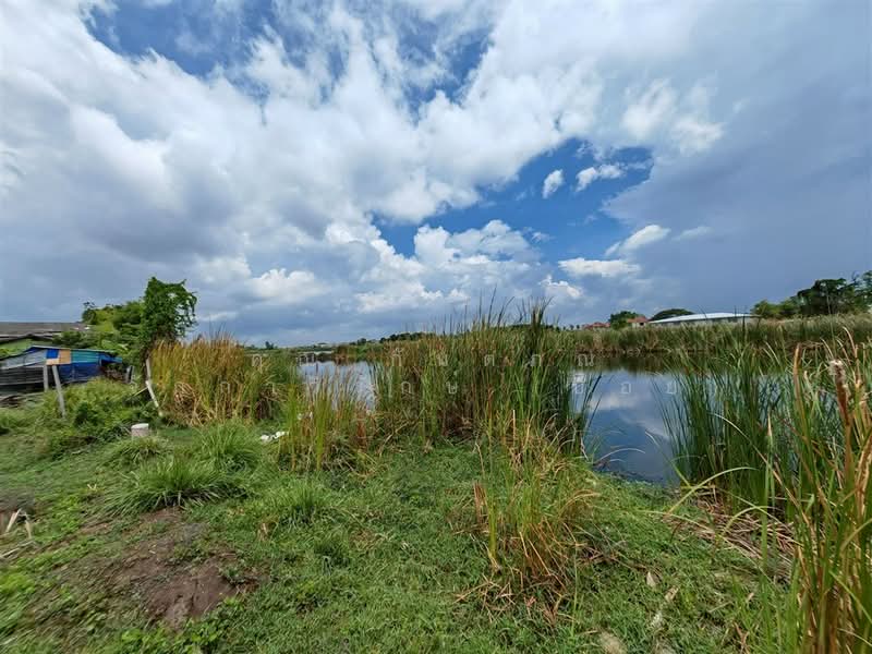 ที่ดินเปล่า 180 ตร.ว. ที่ดิน ใกล้โอรีฟคาร์ ซอยสุเหร่าใหม่ ถนนบางบัวทอง-สุพรรณบุรี, นนทบุรี, ถนนบางบัวทอง-สุพรรณบุรี, บางบัวทอง, บางบัวทอง, นนทบุรี, 720 ตร.ม., ที่ดิน ขาย, โดย คุณ กันตภณ จักกาวิรักษ์ (บอย), 500314409 - DDproperty.com