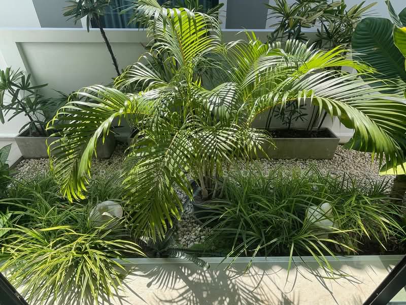 3-BR Villa, Phuket, Talat Yai, Muang Phuket, Phuket, 3 Bedrooms, 125 sqm, Villa For Sale, by Keartisuk Sookkow, 500314432 - DDproperty.com