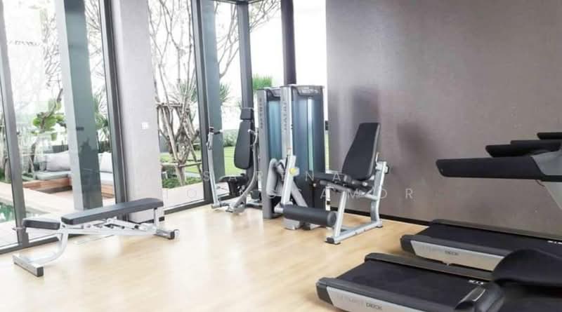 Life Sukhumvit 48, Bangkok, Soi Sukhumvit 48, Phra Kanong, Khlong Toei, Bangkok, 1 Bedroom, 40 sqm, Condo For Rent, by Sarena Choengsamor, 500314459 - DDproperty.com