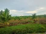 ที่ดินปากท่อ ราชบุรี, ราชบุรี