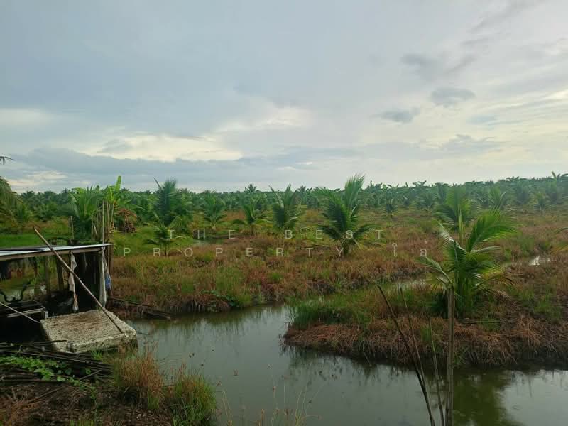 ที่ดินปากท่อ ราชบุรี, ราชบุรี, บ่อกระดาน, ปากท่อ, ราชบุรี, 18,192 ตร.ม., ที่ดิน ขาย, โดย The Best Property โอ๋, 500314545 - DDproperty.com