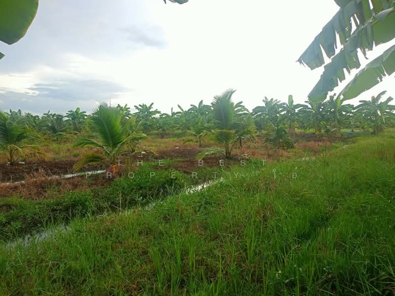 ที่ดินปากท่อ ราชบุรี, Ratchaburi, Bo Kradan, Pak Tho, Ratchaburi, , 18,192 sqm, Land For Sale, by The Best Property โอ๋, 500314545 - DDproperty.com