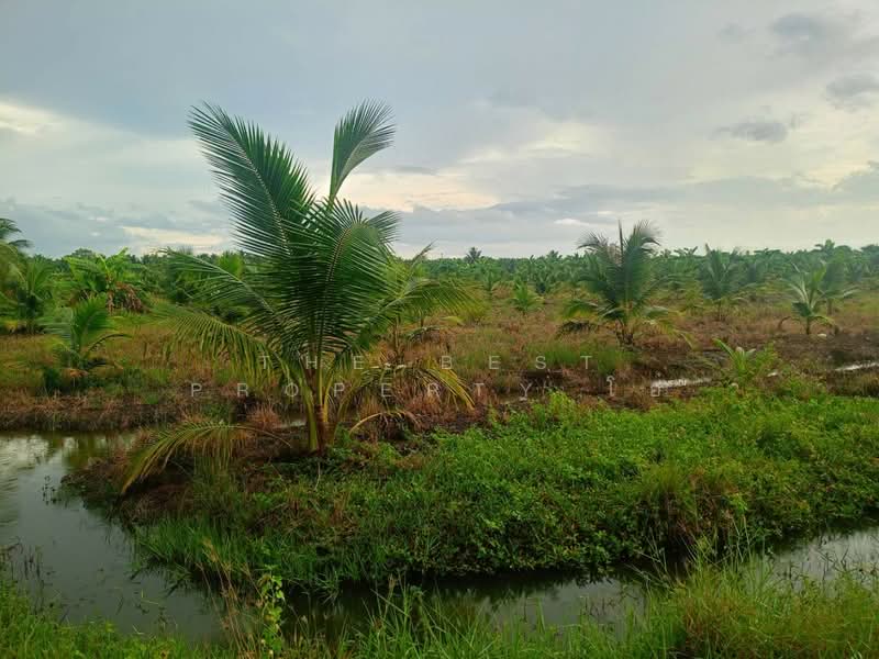 ที่ดินปากท่อ ราชบุรี, ราชบุรี, บ่อกระดาน, ปากท่อ, ราชบุรี, 18,192 ตร.ม., ที่ดิน ขาย, โดย The Best Property โอ๋, 500314545 - DDproperty.com