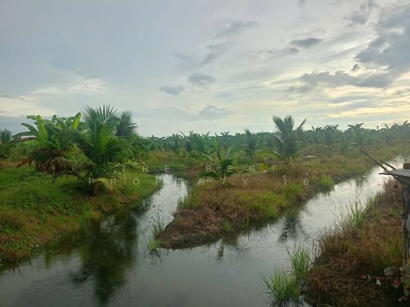 ที่ดินปากท่อ ราชบุรี, ราชบุรี, บ่อกระดาน, ปากท่อ, ราชบุรี, 18,192 ตร.ม., ที่ดิน ขาย, โดย The Best Property โอ๋, 500314545 - DDproperty.com