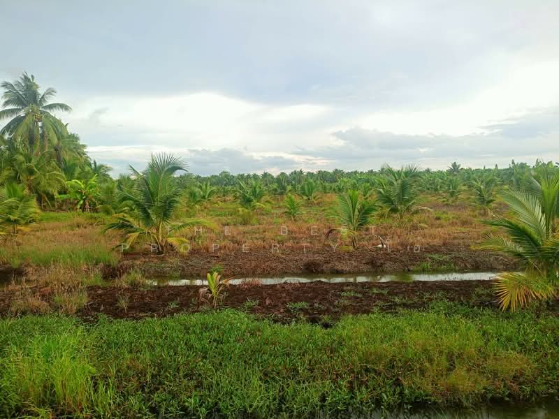 ที่ดินปากท่อ ราชบุรี, Ratchaburi, Bo Kradan, Pak Tho, Ratchaburi, , 18,192 sqm, Land For Sale, by The Best Property โอ๋, 500314545 - DDproperty.com