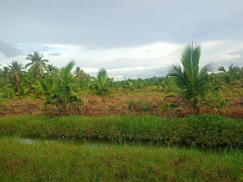 ที่ดินปากท่อ ราชบุรี, ราชบุรี, บ่อกระดาน, ปากท่อ, ราชบุรี, 18,192 ตร.ม., ที่ดิน ขาย, โดย The Best Property โอ๋, 500314545 - DDproperty.com
