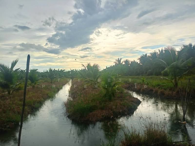 ที่ดินปากท่อ ราชบุรี, Ratchaburi, Bo Kradan, Pak Tho, Ratchaburi, , 18,192 sqm, Land For Sale, by The Best Property โอ๋, 500314545 - DDproperty.com