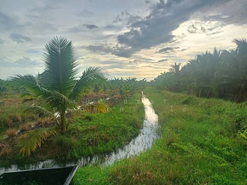 ที่ดินปากท่อ ราชบุรี, ราชบุรี, บ่อกระดาน, ปากท่อ, ราชบุรี, 18,192 ตร.ม., ที่ดิน ขาย, โดย The Best Property โอ๋, 500314545 - DDproperty.com