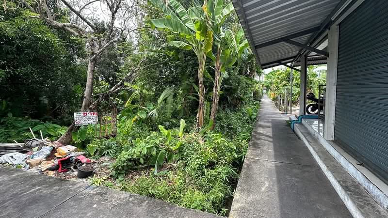 ที่ดิน 147.9 ตร.วา ซอยจรัญสนิทวงศ์ 3 (ซอยสมชาย), Bangkok, จรัญสนิทวงศ์, Wat Tha Pra, Bangkok Yai, Bangkok, , 588 sqm, Land For Sale, by คุณ อนาคต, 500314577 - DDproperty.com