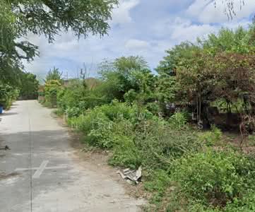 ขาย - ขายที่ดินหนองขาม 60 ตรว. หลังสวนสาธารณะหนองค้อใกล้สวนเสือศรีราชา-2กม. อ.ศรีราชา, ชลบุรี