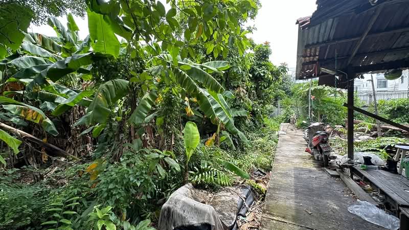ที่ดิน ริมคลอง 80.6 ตร.ว. ซอยจรัญสนิทวงศ์ 3 (ซอยสมชาย), กรุงเทพ, จรัญสนิทวงศ์, วัดท่าพระ, บางกอกใหญ่, กรุงเทพ, 320 ตร.ม., ที่ดิน ขาย, โดย คุณ อนาคต, 500314638 - DDproperty.com