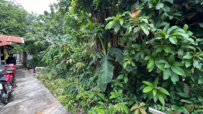 ที่ดิน ริมคลอง 80.6 ตร.ว. ซอยจรัญสนิทวงศ์ 3 (ซอยสมชาย), กรุงเทพ, จรัญสนิทวงศ์, วัดท่าพระ, บางกอกใหญ่, กรุงเทพ, 320 ตร.ม., ที่ดิน ขาย, โดย คุณ อนาคต, 500314638 - DDproperty.com