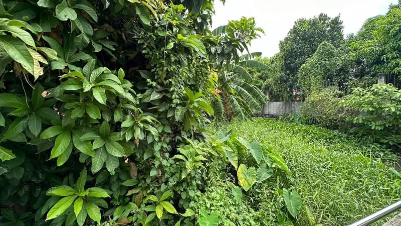 ที่ดิน ริมคลอง 80.6 ตร.ว. ซอยจรัญสนิทวงศ์ 3 (ซอยสมชาย), Bangkok, จรัญสนิทวงศ์, Wat Tha Pra, Bangkok Yai, Bangkok, , 320 sqm, Land For Sale, by คุณ อนาคต, 500314638 - DDproperty.com