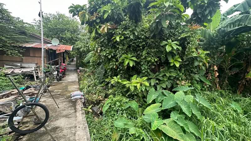 ที่ดิน ริมคลอง 80.6 ตร.ว. ซอยจรัญสนิทวงศ์ 3 (ซอยสมชาย), Bangkok, จรัญสนิทวงศ์, Wat Tha Pra, Bangkok Yai, Bangkok, , 320 sqm, Land For Sale, by คุณ อนาคต, 500314638 - DDproperty.com
