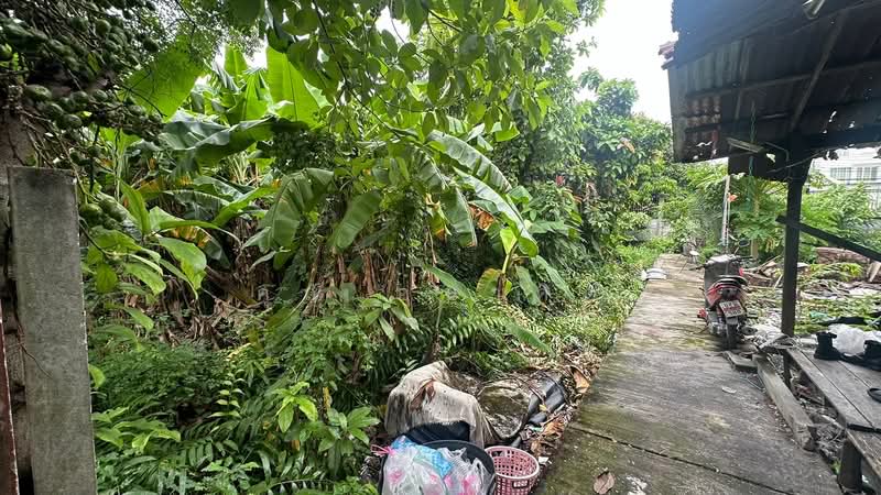 ที่ดิน ริมคลอง 80.6 ตร.ว. ซอยจรัญสนิทวงศ์ 3 (ซอยสมชาย), กรุงเทพ, จรัญสนิทวงศ์, วัดท่าพระ, บางกอกใหญ่, กรุงเทพ, 320 ตร.ม., ที่ดิน ขาย, โดย คุณ อนาคต, 500314638 - DDproperty.com