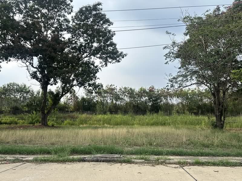 The Lagoon 1-2, Pathum Thani, Thai Ko, Sam Khok, Pathum Thani, , 468 sqm, Land For Sale, by Pabhawin Attasilapakit, 500314780 - DDproperty.com