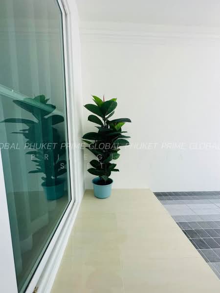 บ้านเดี่ยว, Phuket, Chalong, Muang Phuket, Phuket, 2 Bedrooms, 80 sqm, Single Detached House For Rent, by primeglobalasset bee, 500314789 - DDproperty.com
