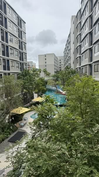 DCondo Reef, Phuket, 78 Soi Dara, Kathu, Phuket, 1 Bedroom, 28 sqm, Condo For Rent, by Prime Global Asset Co.,Ltd, 500314810 - DDproperty.com