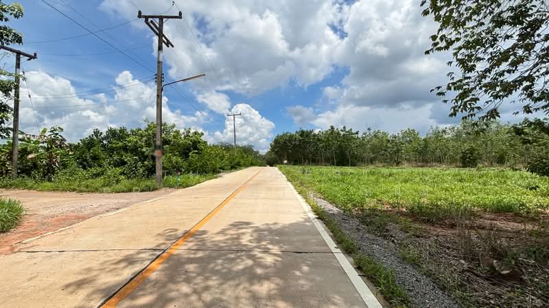 ที่ดินวังจันทร์ ระยอง, Rayong, Plong Ta Iam, Wang Chan, Rayong, , 19,372 sqm, Land For Sale, by The Best Property หนึ่ง, 500314964 - DDproperty.com