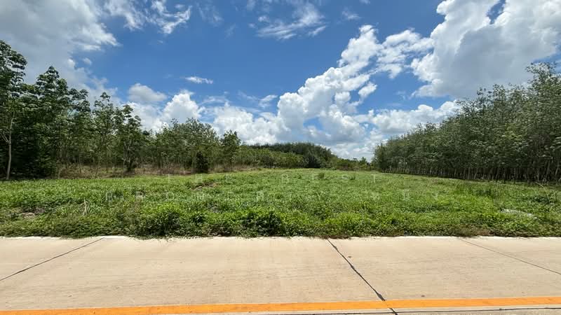 ที่ดินวังจันทร์ ระยอง, Rayong, Plong Ta Iam, Wang Chan, Rayong, , 19,372 sqm, Land For Sale, by The Best Property หนึ่ง, 500314964 - DDproperty.com