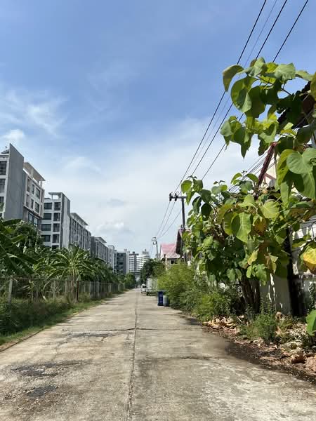 บางนา, กรุงเทพ, บางนา-ตราด 42, บางนา, บางนา, กรุงเทพ, 300 ตร.ม., บ้านเดี่ยว ขาย, โดย Chadthanee Debavalya, 500315117 - DDproperty.com