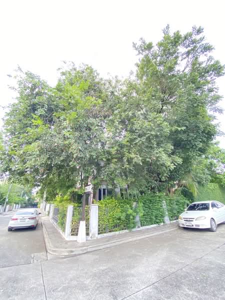 Setsiri Prachachuen Resident 1 : เศรษฐสิริ ประชาชื่น เรสซิเด้นซ์ 1, นนทบุรี, ซอย เพชรรัตน์, บางเขน, เมืองนนทบุรี, นนทบุรี, 225 ตร.ม., บ้านเดี่ยว ขาย, โดย HOME Real Estate Service, 500315121 - DDproperty.com