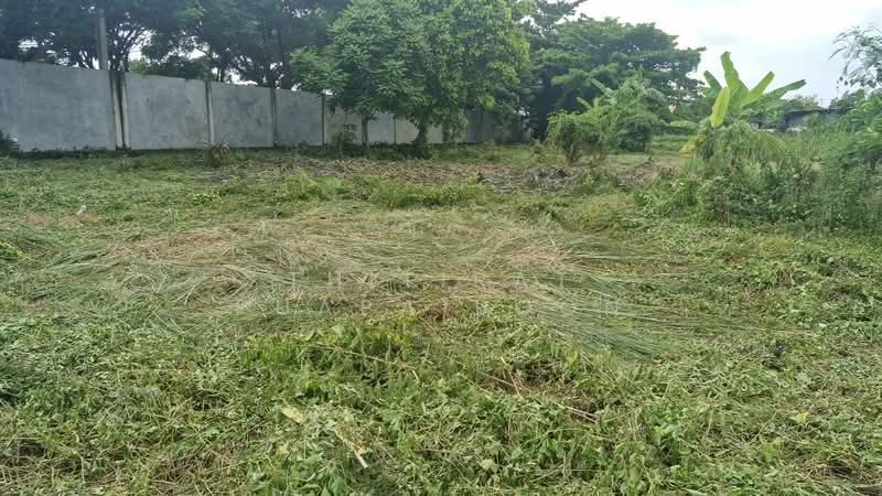 For Sale & Lease 3-Rai Prime Land on Rat Phatthana Rd. Development Ready, Bangkok, ราษฎร์พัฒนา, Rat Phatthana, Saphan Sung, Bangkok, , 4,800 sqm, Land For Sale, by Thitirat Puapaiboon, 500315306 - DDproperty.com
