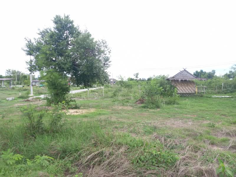 ที่ดินเลาขวัญ กาญจนบุรี, Kanchanaburi, Nong Pradu, Lao Khwan, Kanchanaburi, , 912 sqm, Land For Sale, by The Best Property เปี๊ยก, 500315505 - DDproperty.com