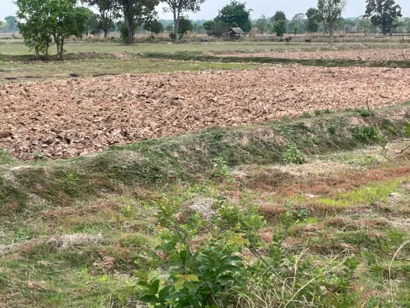ที่ดินบ้านใหม่ไชยพจน์ บุรีรัมย์, Buri Ram, Ku Suan Daeng, Ban Mai Chai Phot, Buri Ram, , 16,176 sqm, Land For Sale, by The Best Property เซ, 500315517 - DDproperty.com