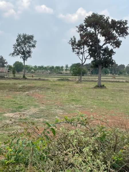 ที่ดินบ้านใหม่ไชยพจน์ บุรีรัมย์, Buri Ram, Ku Suan Daeng, Ban Mai Chai Phot, Buri Ram, , 16,176 sqm, Land For Sale, by The Best Property เซ, 500315517 - DDproperty.com