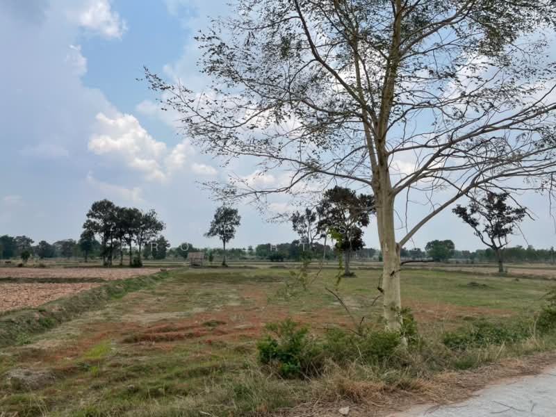 ที่ดินบ้านใหม่ไชยพจน์ บุรีรัมย์, Buri Ram, Ku Suan Daeng, Ban Mai Chai Phot, Buri Ram, , 16,176 sqm, Land For Sale, by The Best Property เซ, 500315517 - DDproperty.com