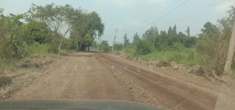 ปทุมธานี, Pathum Thani, บางบัวทอง-สุพรรณบุรี, Na-Mai, Lat Lum Kaeo, Pathum Thani, , 3,500 sqm, Land For Rent, by การุณ ชมภูบุตร, 500315522 - DDproperty.com