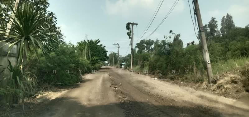 ปทุมธานี, ปทุมธานี, บางบัวทอง-สุพรรณบุรี, หน้าไม้, ลาดหลุมแก้ว, ปทุมธานี, 3,500 ตร.ม., ที่ดิน ให้เช่า, โดย การุณ ชมภูบุตร, 500315522 - DDproperty.com