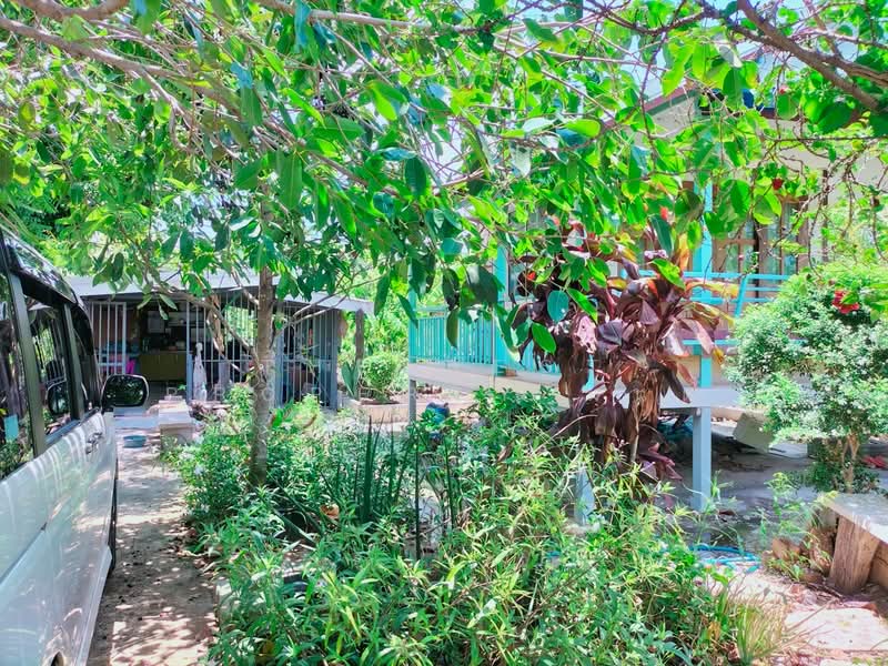 ที่ดินพร้อมสิ่งปลูกสร้างลาดบัวหลวง พระนครศรีอยุธยา, Phra Nakhon Si Ayutthaya, Khu Salot, Lat Bua Luang, Phra Nakhon Si Ayutthaya, , 852 sqm, Land For Sale, by The Best Property มนต์, 500315531 - DDproperty.com