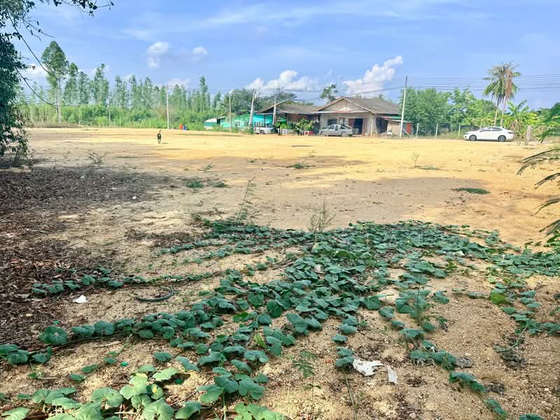 Land for Sale Huay Yai Na Jomtien Ideal for Pool Villa Investment, Chon Buri (Pattaya), Huai Yai, Bang Lamung (Pattaya), Chon Buri (Pattaya), , 588 sqm, Land For Sale, by PLC real estate, 500315566 - DDproperty.com
