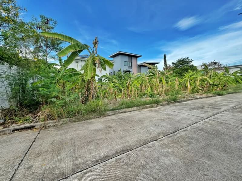 Neo-City Donmuang, Bangkok, Soi Nawong Pracha Phatthana 13, Si Khan, Don Mueang, Bangkok, , 52,160 sqm, Land For Sale, by คุณศุภโชค ฟักแก้ว (บิ๊ก), 500315608 - DDproperty.com