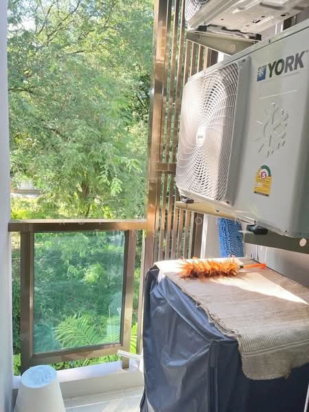 One Plus Jed Yod 4, Chiang Mai, Photharam 2, Chang Phuak, Muang Chiang Mai, Chiang Mai, 1 Bedroom, 28 sqm, Condo For Rent, by Rutchaporn Tunsiri, 500315615 - DDproperty.com