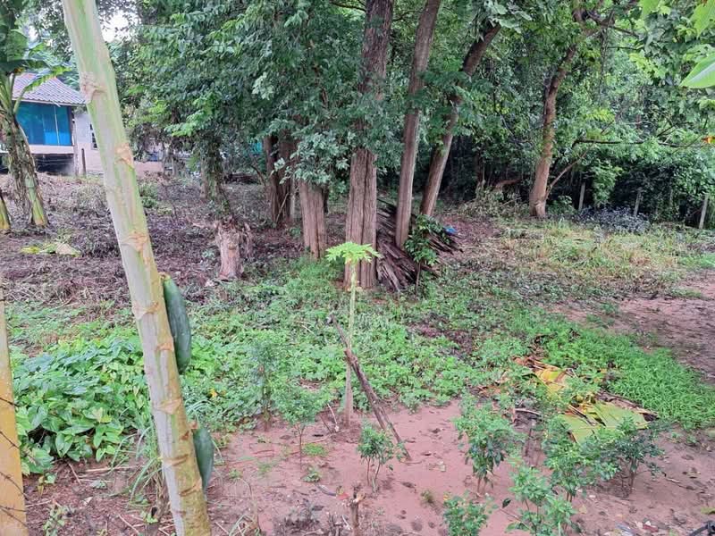 ที่ดินบ้านจั่น อุดรธานี, Udon Thani, Ban Chun, Muang Udon Thani, Udon Thani, , 784 sqm, Land For Sale, by The Best Property อั๋น, 500315676 - DDproperty.com