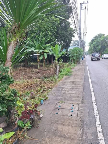 ที่ดินบ้านจั่น อุดรธานี, อุดรธานี, บ้านจั่น, เมืองอุดรธานี, อุดรธานี, 784 ตร.ม., ที่ดิน ขาย, โดย The Best Property อั๋น, 500315676 - DDproperty.com
