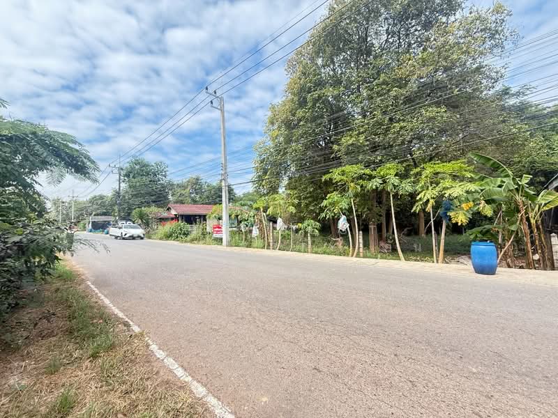 ที่ดินบ้านจั่น อุดรธานี, Udon Thani, Ban Chun, Muang Udon Thani, Udon Thani, , 784 sqm, Land For Sale, by The Best Property อั๋น, 500315676 - DDproperty.com
