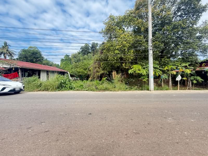 ที่ดินบ้านจั่น อุดรธานี, Udon Thani, Ban Chun, Muang Udon Thani, Udon Thani, , 784 sqm, Land For Sale, by The Best Property อั๋น, 500315676 - DDproperty.com
