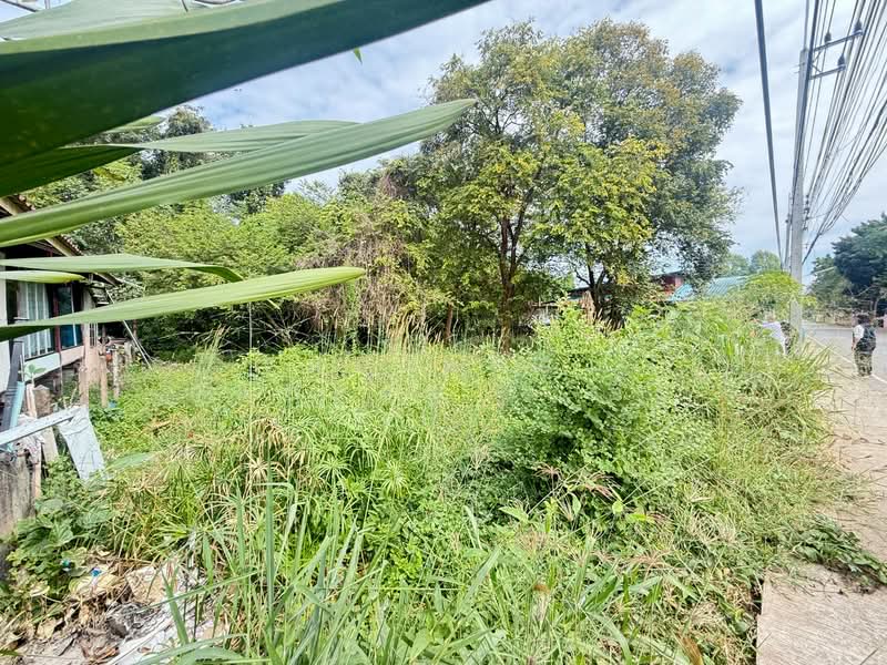 ที่ดินบ้านจั่น อุดรธานี, อุดรธานี, บ้านจั่น, เมืองอุดรธานี, อุดรธานี, 784 ตร.ม., ที่ดิน ขาย, โดย The Best Property อั๋น, 500315676 - DDproperty.com