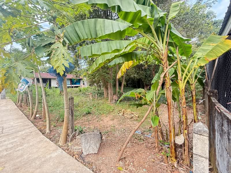 ที่ดินบ้านจั่น อุดรธานี, Udon Thani, Ban Chun, Muang Udon Thani, Udon Thani, , 784 sqm, Land For Sale, by The Best Property อั๋น, 500315676 - DDproperty.com
