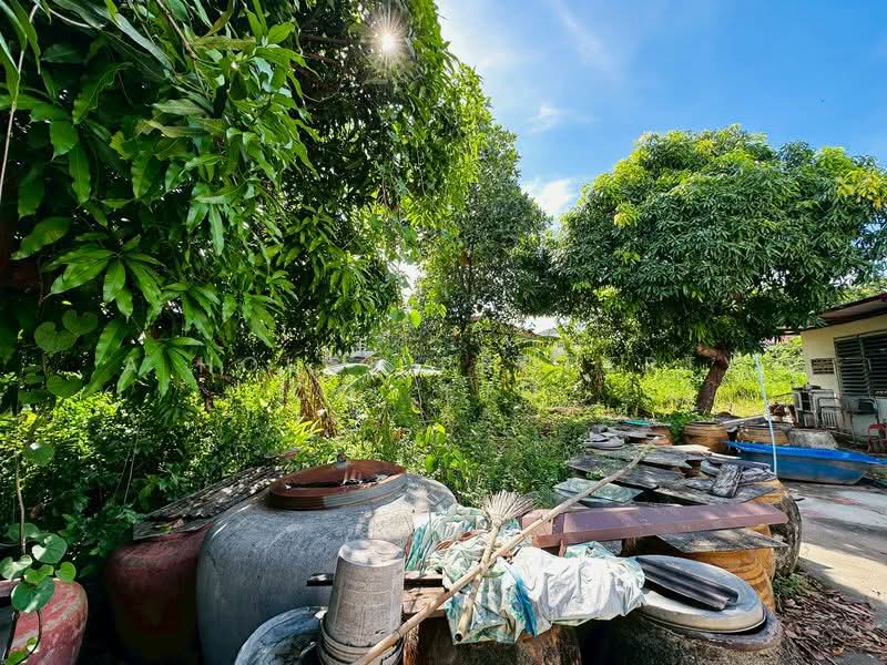 ที่ดินสวยพร้อมสิ่งปลูกสร้าง ศรีราชา เขาแตงอ่อน, ชลบุรี, สุรศักดิ์, ศรีราชา, ชลบุรี, 1,152 ตร.ม., ที่ดิน ขาย, โดย A House Property Co.,Ltd., 500315770 - DDproperty.com